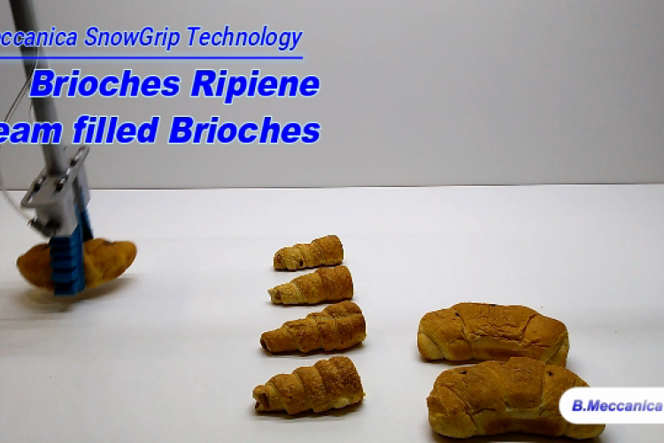 Brioches Grip